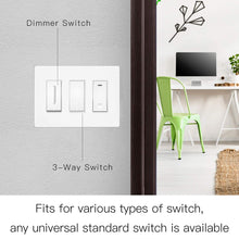 Load image into Gallery viewer, The Wall Plate